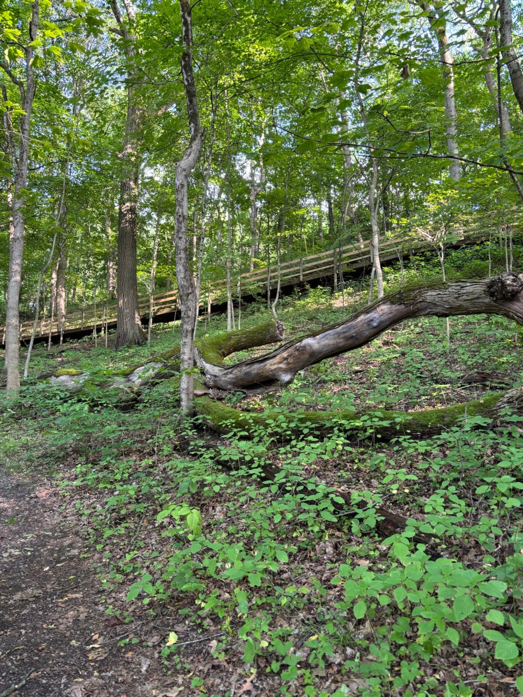 A long day was it&nbsp;today!