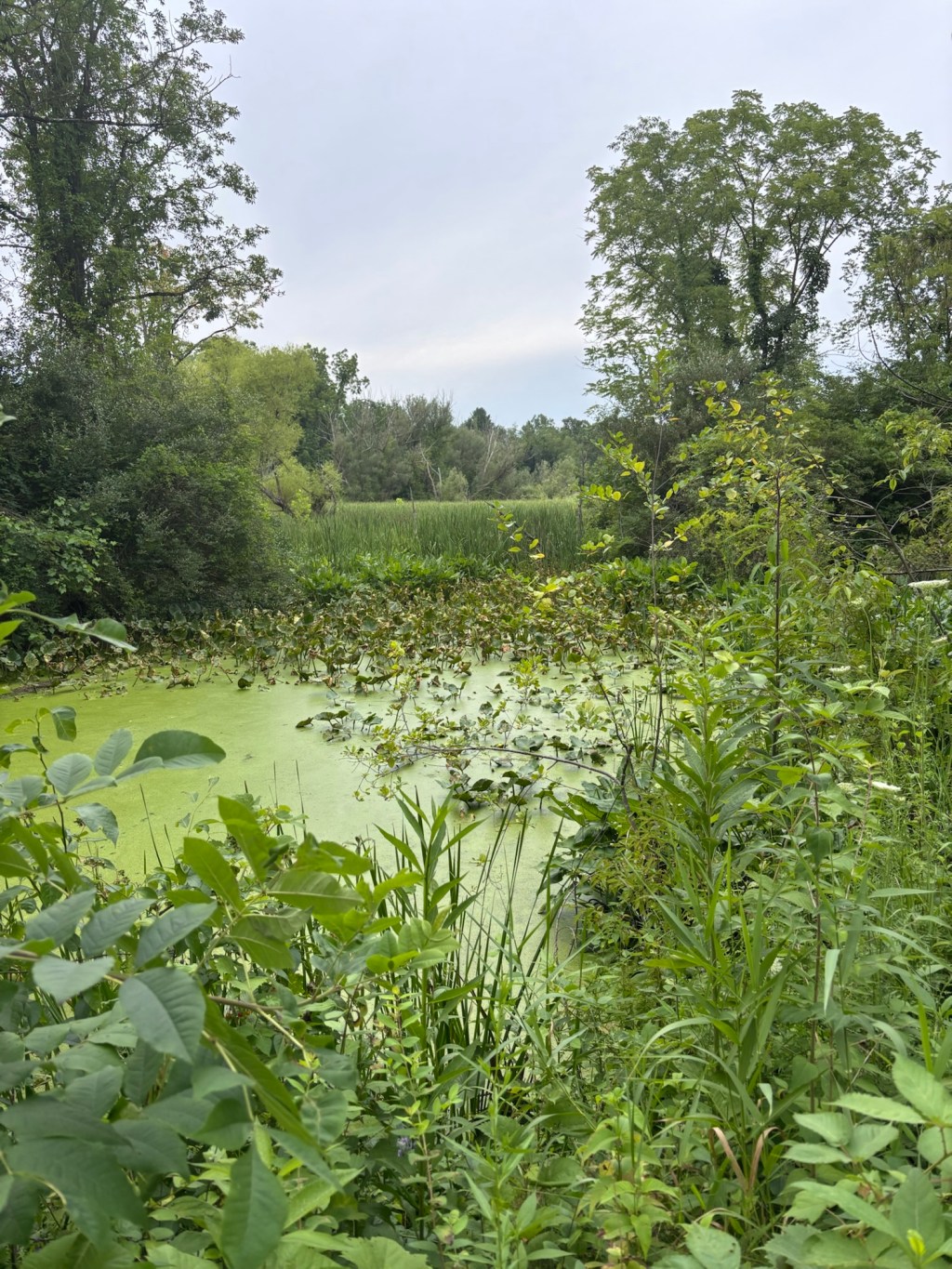 Cuyahoga Valley National&nbsp;Park