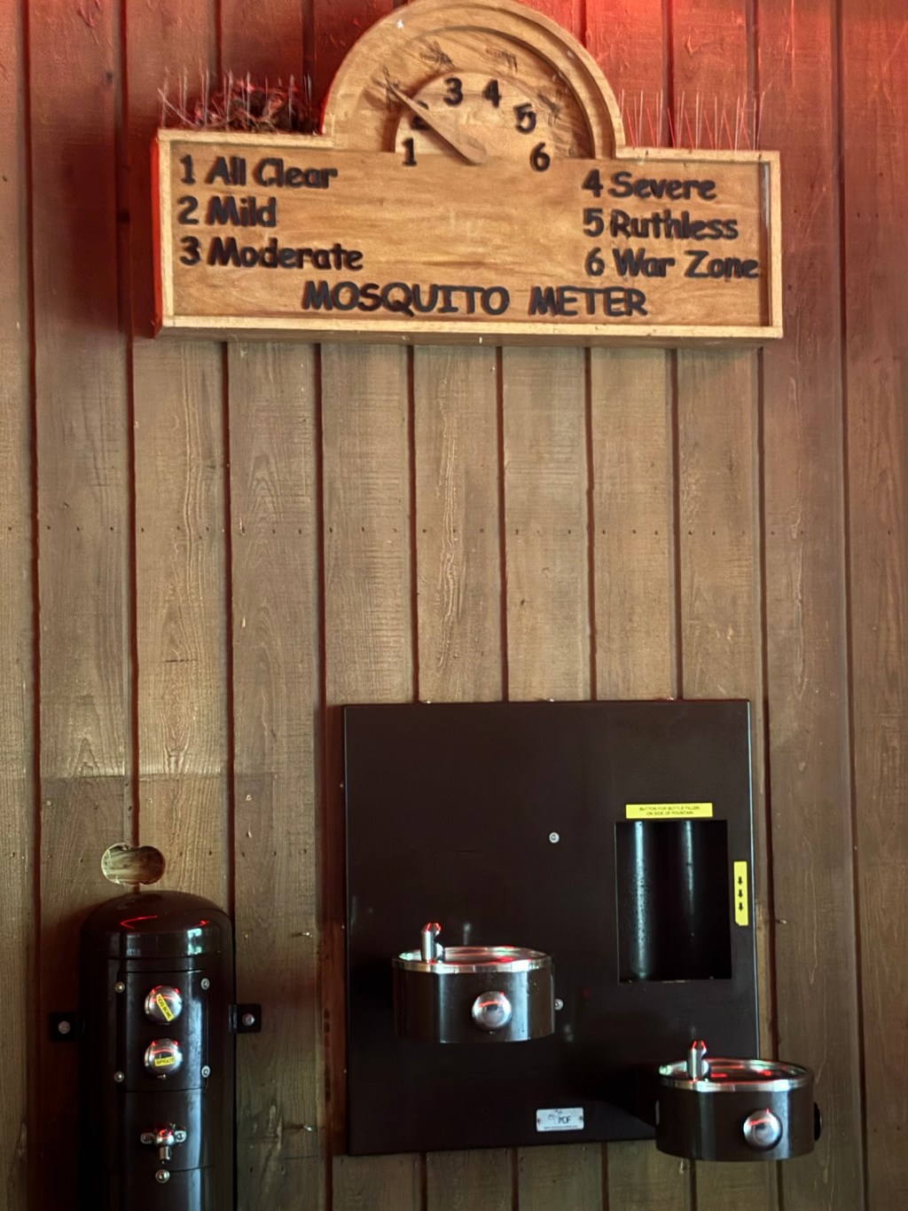 Congaree National Park!