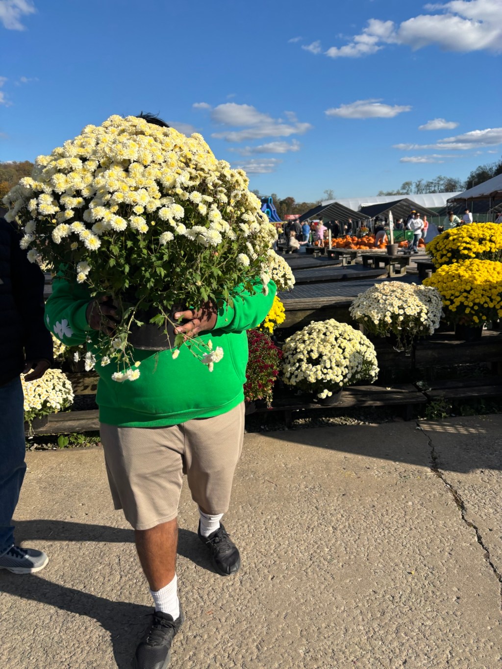 And then FOMO hit me!