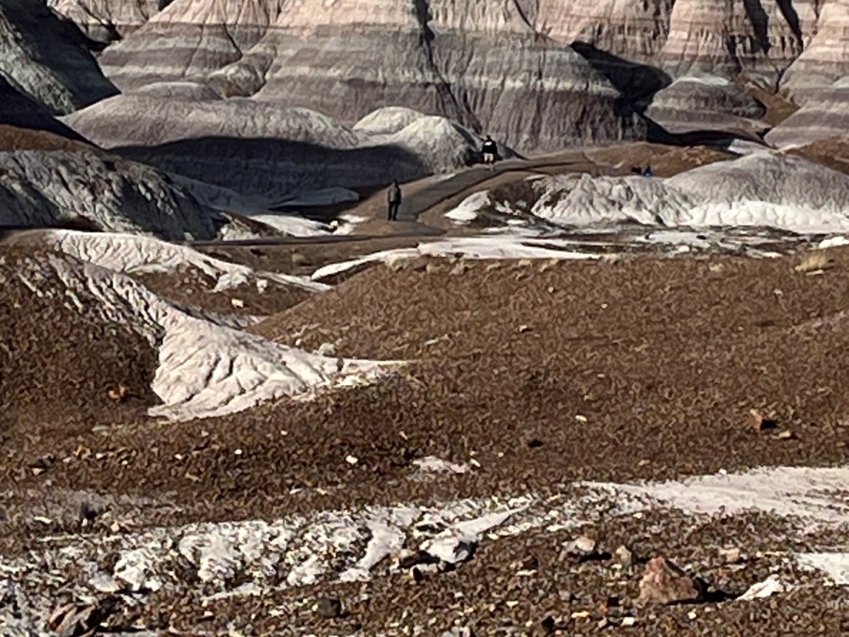 The desert southwest and&nbsp;more