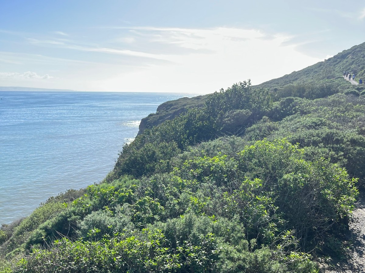 Happy New Year&nbsp;2026