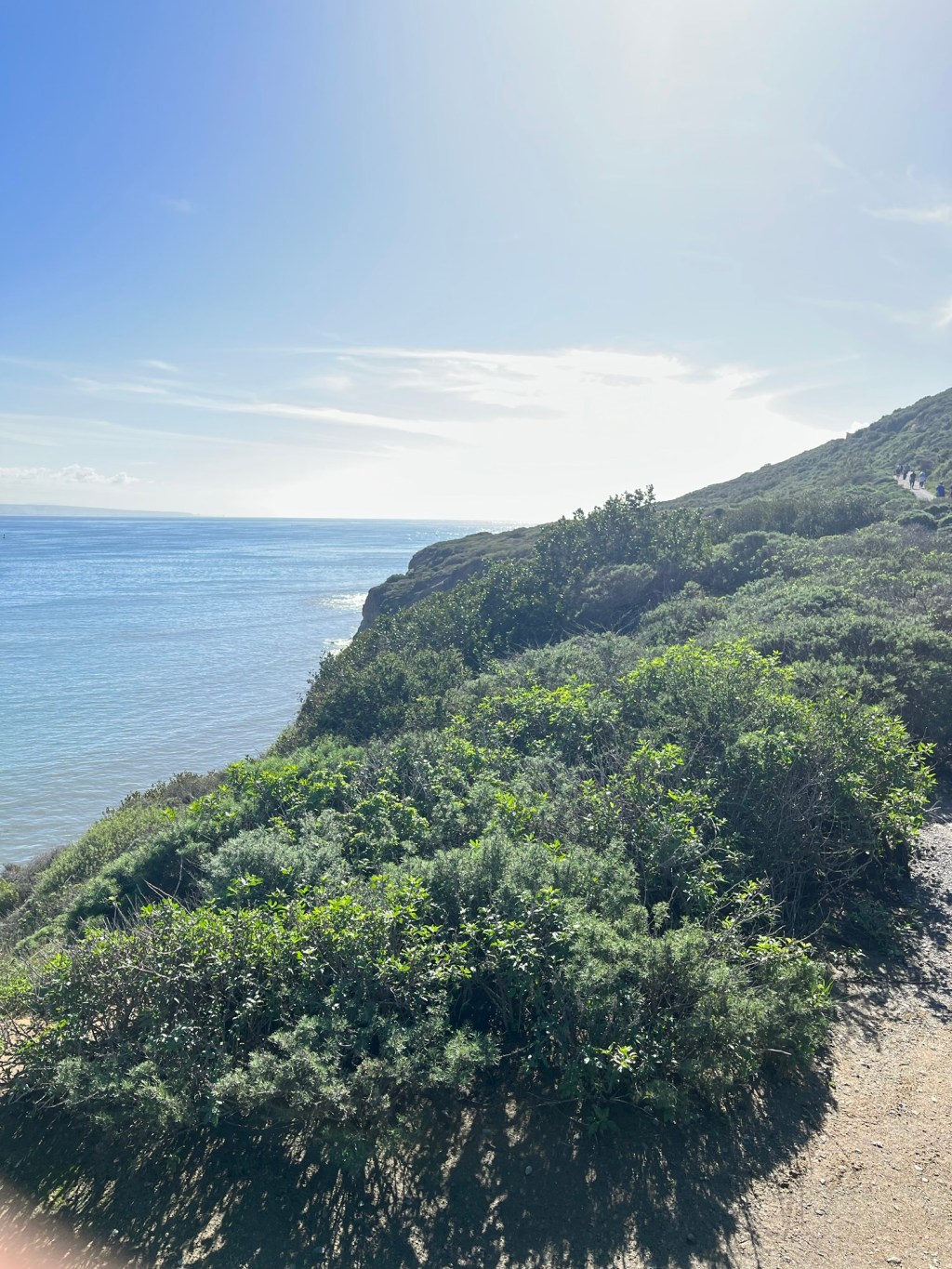 Happy New Year&nbsp;2026