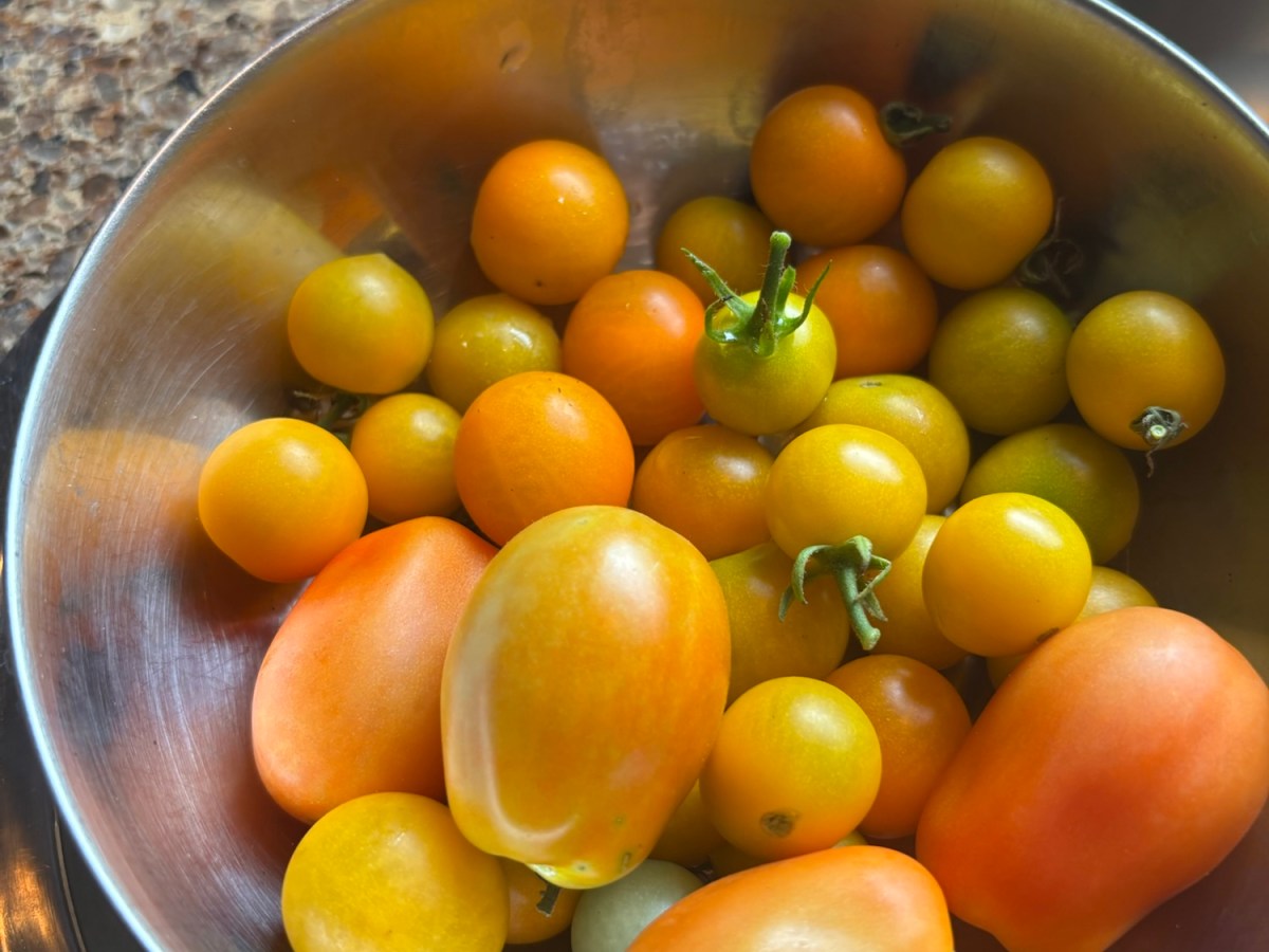 A conplaint and a&nbsp;solution?