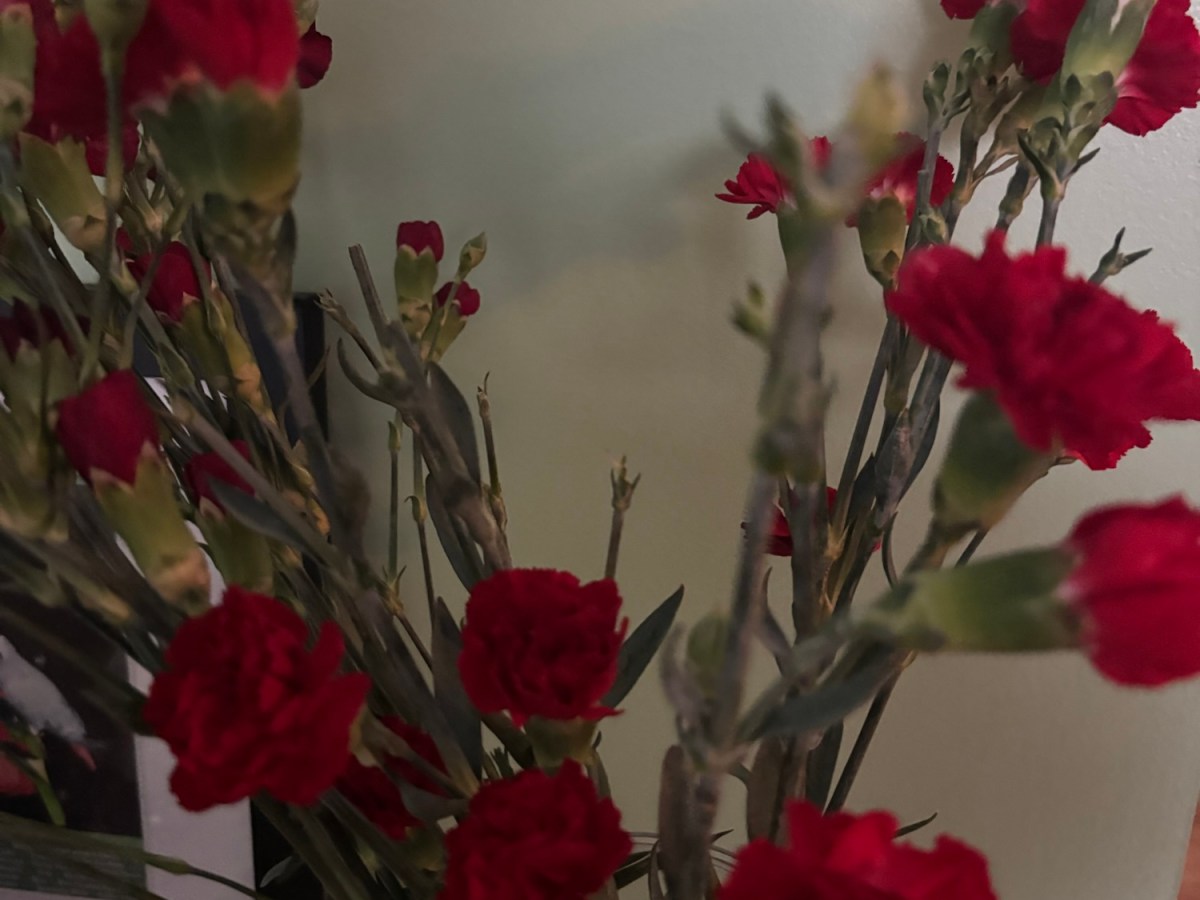 The storm did&nbsp;pass!