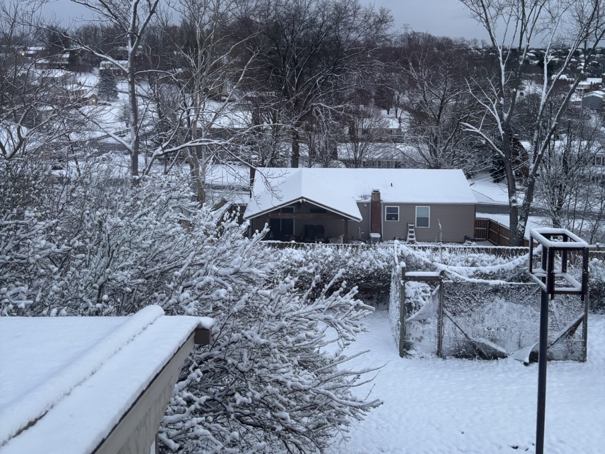 Are you kidding&nbsp;me?