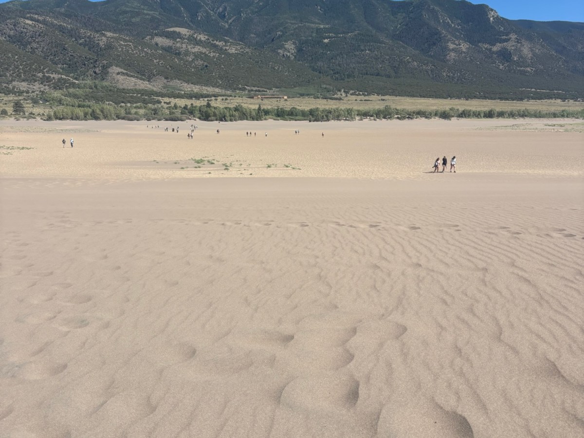 On the dunes